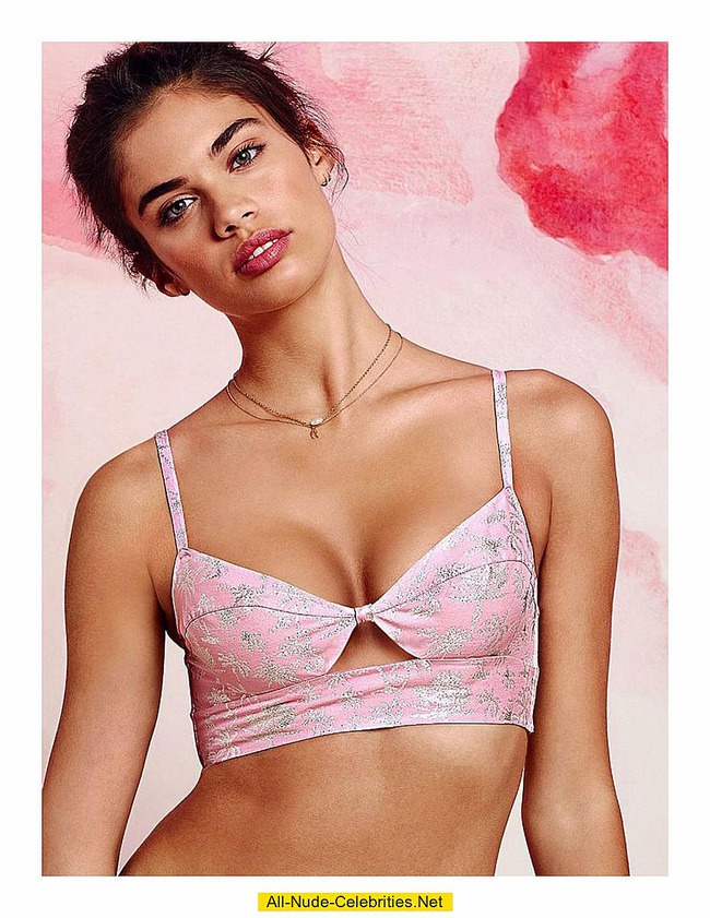 Sara Sampaio In Sexy Lingeries And Braless 14