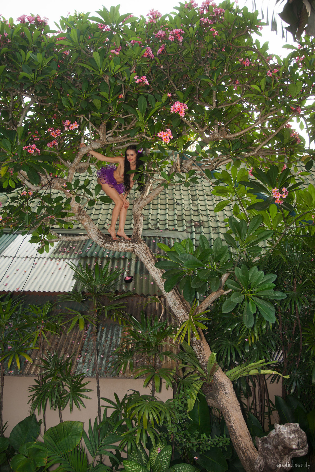 Tropical Beauty 19