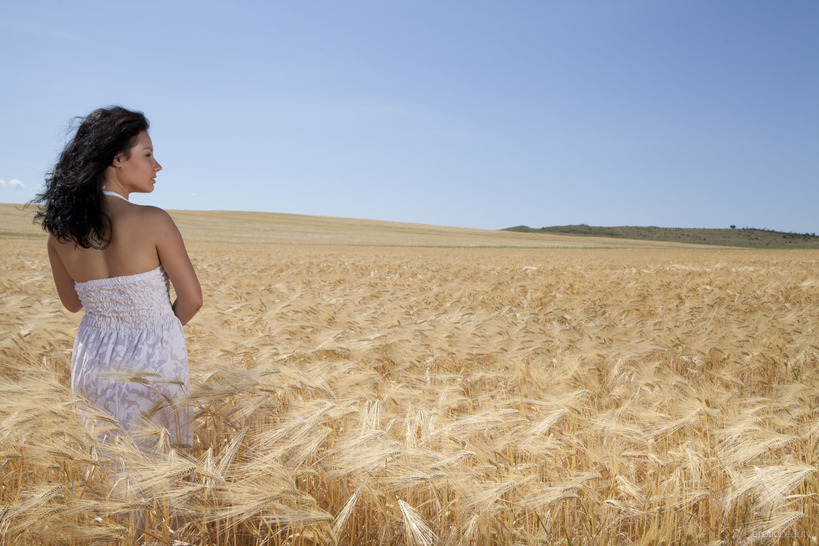 Yellow Field 03