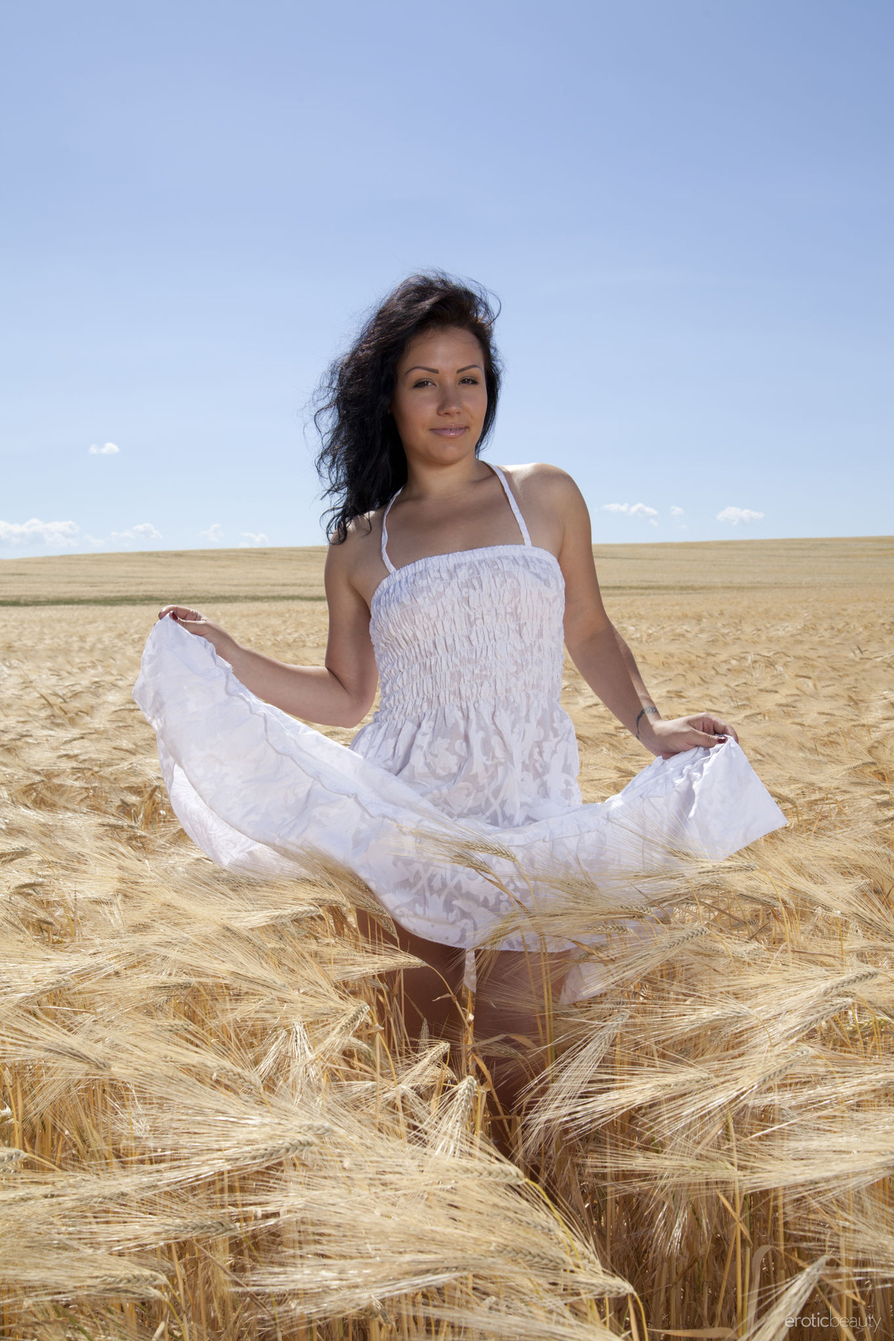Yellow Field 04