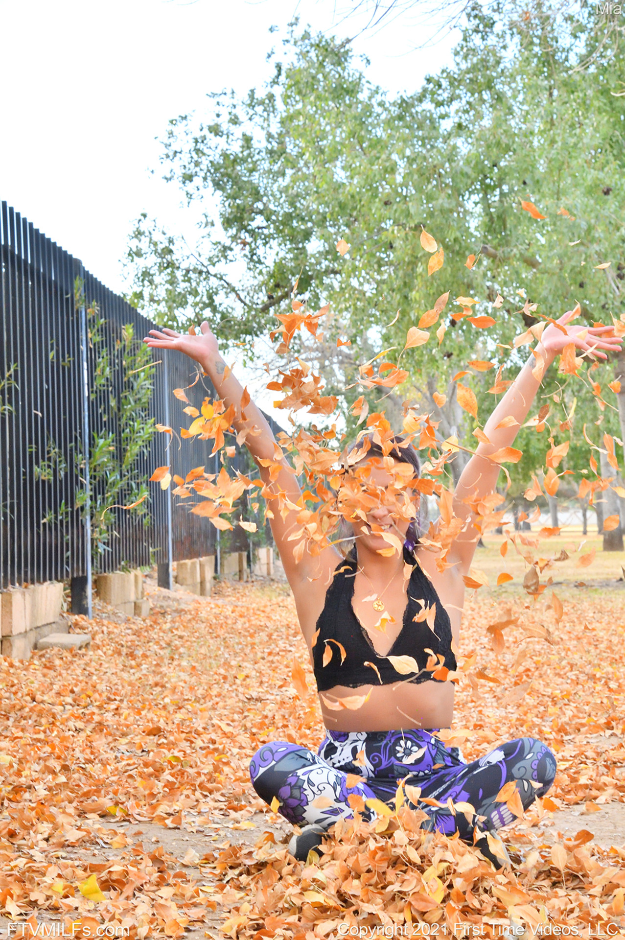 A Carpet Of Leaves 10
