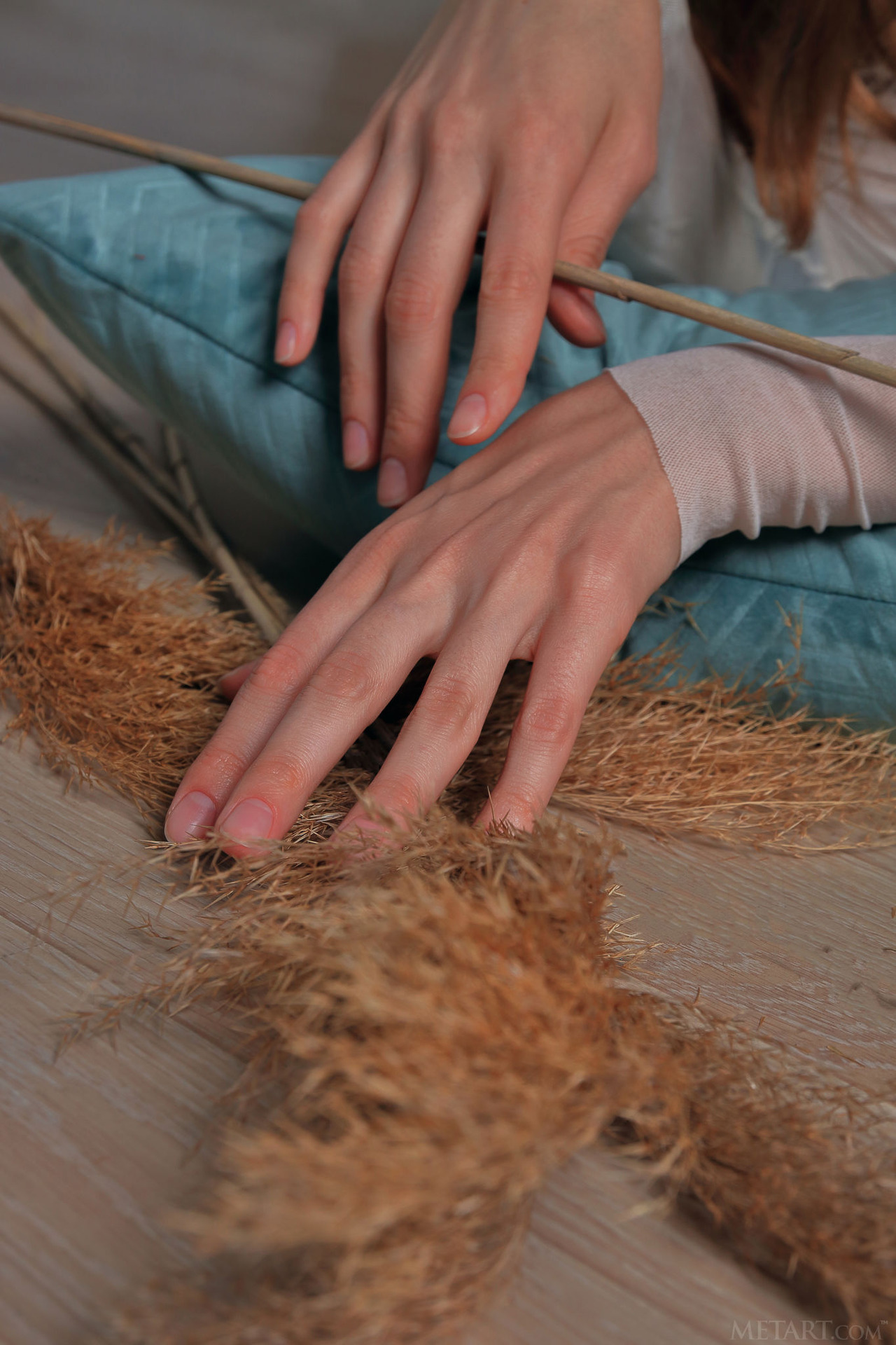 Sheer Peek 08