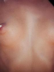 Lovely And Gorgeous Brunette Girl Macy B